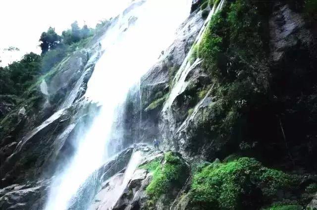 阴阳师