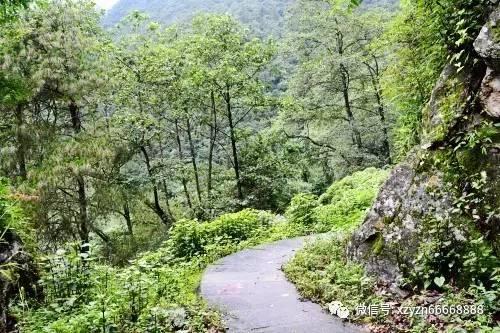 写给老婆的爷爷怎么称呼071884？游戏画面